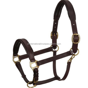 Licou en cuir souple et doux, teint en légumes, avec rembourrage en peluche sur la muserolle et la couronne, licou de course de chevaux de haute qualité - Product Image 4