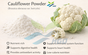 Suministro directo de fábrica HGO de polvo de coliflor natural puro (grado alimenticio) polvo vegetal (polvo de frutas o vegetales) - Product Image 3