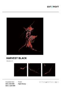 Revêtement de sol en porcelaine brillante Signature Elite 600x600 mm (24x24 po) – Surface tendance pour intérieurs résidentiels et commerciaux de luxe - Product Image 3