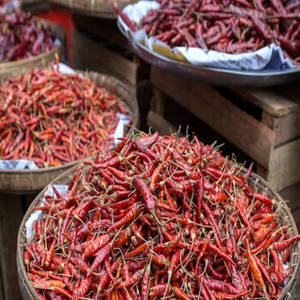 Piment rouge séché 100 % pur de qualité supérieure, entier, séché à l'air (AD), sans tige, standard d'exportation, épices et herbes simples - Product Image 2