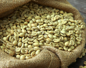 เมล็ดกาแฟเขียว อาราบิก้า ออร์แกนิค IIGLOBAL FARM คัดเกรด 18 ที่ราบสูงกลางเวียดนาม สำหรับนำเข้าจำนวนมาก มาตรฐานส่งออกระดับพรีเมียม - Product Image 6