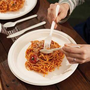 Ustensiles en plastique jetables (couteaux, cuillères) robustes, résistants, sans BPA, adaptés aux aliments, pour les fêtes, les mariages, les barbecues, les pique-niques, le camping - Product Image 5