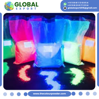 Polvo de Color Neón Brillante, Ultrafino, Reactivo a los Rayos UV, para Organizadores de Eventos, Fiestas Divertidas, Acción de Gracias, Soporte OEM
