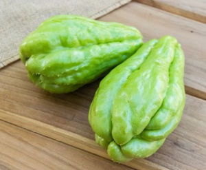 Programa de Chayote Congelado de Marca Privada y Minorista para Importadores y Distribuidores - Product Image 4