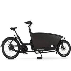 Vélo cargo familial électrique, moteur central 250W, batterie lithium longue portée, 3 roues, vélo électrique de livraison urbaine - Product Image 1
