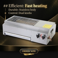 Barbecue au gaz en acier inoxydable de qualité supérieure DanFuQi, réduction du bruit, nettoyage facile, équipement commercial, garantie 1 an
