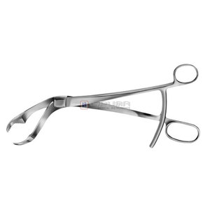 Pince à os manuelle Verbrugge 255 mm (10 pouces) pour articulations labiales, instruments chirurgicaux en acier inoxydable, certifiée CE, garantie 5 ans - Product Image 1