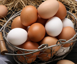 ไข่ไก่สดคุณภาพสูง สีน้ำตาล สำหรับรับประทาน น้ำหนัก 35-42 กรัม แช่เย็น ราคาถูก จำนวนมาก จัดส่งรวดเร็ว มีสินค้าพร้อมขาย - Product Image 5