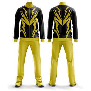 Conjunto Deportivo Personalizado para Hombre y Mujer, Chaqueta Deportiva, Pantalones Deportivos, Uniforme Atlético de Entrenamiento, Proveedor Mayorista - Product Image 4