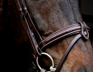 Bridon de dressage anatomique de luxe en cuir rembourré marron Havana, avec surmêchoir flash et surpiqûres fantaisie personnalisées - Product Image 3