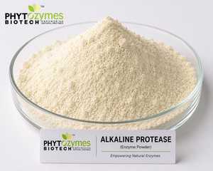 Promotion : Poudre d'enzyme alcaline protéase, biocatalyseur haute efficacité pour la décomposition des protéines, la fermentation et l'utilisation industrielle - Product Image 1