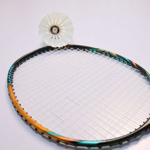 Vina-Star - Volante de Tenis Profesional Ecológico con Madera y Pluma de Ganso Clase A para un Vuelo Estable - Product Image 6