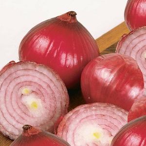 Cebollas Rojas Frescas de Primera Calidad, Selección de Bulbos con Fuerte Aroma y Superficie Limpia, Listas para Cadenas de Suministro Internacionales - Product Image 4