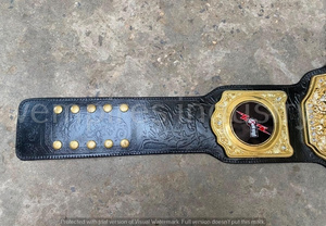 Cinturón de Campeón Mundial de la WWE, Cinturón de Lucha Libre de Cuero Chapado en Oro, Equipo de Artes Marciales Unisex - Product Image 5