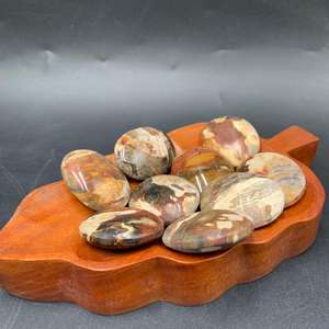 Piedra de Palma de Madera Petrificada Natural Premium 45x35x15 mm – Piedra Decorativa Pulida para Colección y Exhibición - Product Image 1