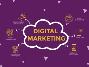 Solutions professionnelles de marketing numérique pour renforcer votre présence sur les médias sociaux et générer des résultats grâce à la publicité payante - Product Image 5