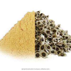 Vente en gros de poudre de graine de moringa, origine indienne - Product Image 6