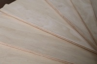 Plataforma de Madera Contrachapada Mixta de Eucalipto y Caucho de Primera Calidad, Ecológica, Long Viet (LVD LVB), Superficie Plana Lijada por Ambos Lados, Moderna