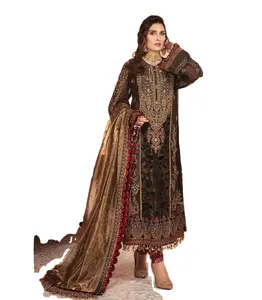 गोल्डन ब्राउन Organza पोशाक पाकिस्तानी/भारतीय पोशाक कढ़ाई उच्च गुणवत्ता के साथ गर्म बेच 2023