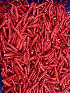 Chiles Rojos Congelados IQF Premium, Enteros, Picantes, Grado Alimenticio, Proveedor de Vietnam - Product Image 6