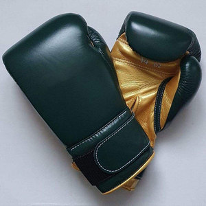 Guantes de Boxeo Ecológicos de PU, Ligeros y Transpirables, para Entrenamiento en Gimnasio, Práctica de Boxeo - Product Image 1