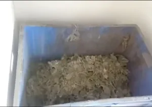 Machine semi-automatique de broyage de tapis, capacité de broyage de 1000 kg/h, machines de broyage de plastique pour la vente à l'exportation - Product Image 5