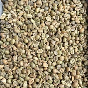 Wholesale Robusta Coffee <b>Beans</b> for Roasting Fully Washed Green Coffee <b>Beans</b> Size 16 Vietnam Highland Farm Direct - Product Image 4