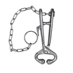 Soporte de Acero Inoxidable Personalizado para Nariz de Toro, Instrumento Veterinario de Inseminación para el Cuidado Efectivo del Ganado - Product Image 2