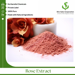 Poudre d'extrait de rose de qualité supérieure pour usage professionnel en soins de la peau, parfumerie et production cosmétique à grande échelle - Product Image 2