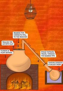 Huile Essentielle Florale Pure à 100% de Zafran Royale Blanc - Distillée par Hydrodistillation - Product Image 5