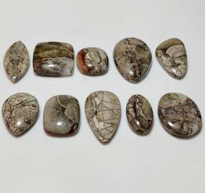 Vente en gros de pierres précieuses naturelles en jaspe champignon léger, cabochons calibrés - Product Image 4