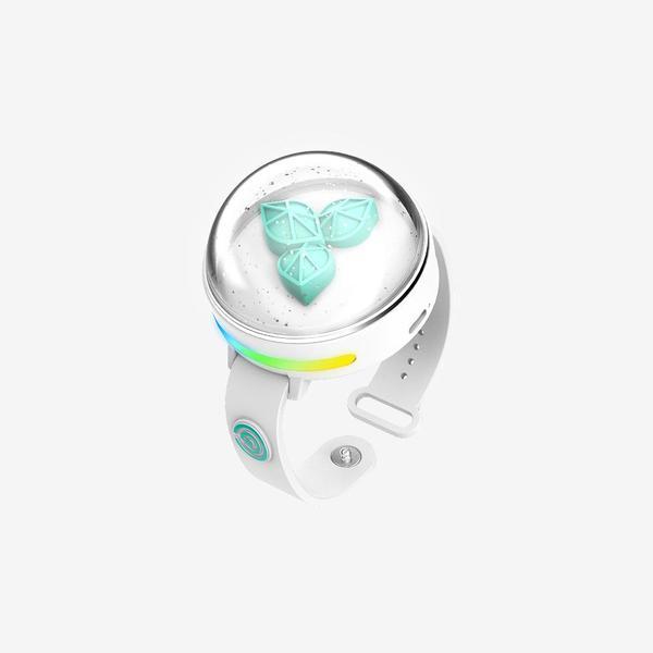 DAY6 Official VER 3 LED Modern PC Light Band Music Inspired Lighting with for RGB Multicolor Battery Powered