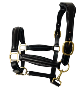 Harnais en cuir de qualité export pour chevaux avec surpiqûres contrastées élégantes, taille et emballage personnalisés de Divine International - Product Image 1