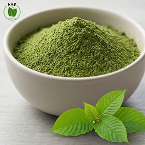 Producto Popular AuE 2% MIT Polvo de Hoja Herbal Tailandesa 120 Mesh Secado al Aire Caliente Envasado al Vacío Grado Alimenticio Cultivo Natural Khon Kaen - Product Image 1