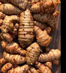 Cúrcuma Fresca Entera Cruda de Primera Calidad, Raíces Naturales para Cocinar, Procesamiento de Alimentos, Suministro de Especias al por Mayor - Product Image 4