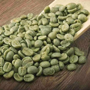 เมล็ดกาแฟเขียว อาราบิก้า ออร์แกนิค IIGLOBAL FARM คัดเกรด 18 ที่ราบสูงกลางเวียดนาม สำหรับนำเข้าจำนวนมาก มาตรฐานส่งออกระดับพรีเมียม - Product Image 1