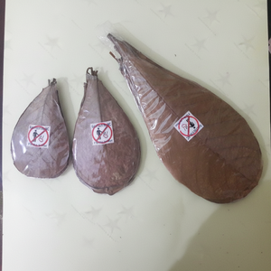 Productos para Mascotas de Almendras Indias de Primera Calidad al por Mayor, 15 Hojas de Tamaño 10 a 15 cm para Limpieza de Peces - Product Image 1