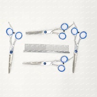 Ensemble de Gros d'Outils de Toilettage pour Animaux en Acier Inoxydable de Haute Qualité, Finition Polie Anti-Rouille, Portable et Écologique