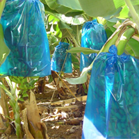 Herbruikbare PP/HD non-woven fruitbeschermhoes met hitteverzegeling, milieuvriendelijk, op maat gemaakte plastic zak voor bananen en tomaten