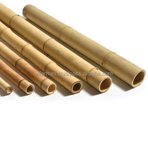 Premium Outdoor Durable <b>Bamboo</b> Poles Rattan Core <b>Material</b> for Fencing Landscaping DIY Projects Home Decoration - Product Image 1