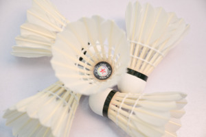 Tournament Grade <b>Badminton</b> Shuttlecock with Class a Goose Feather Graphite High Durability for Professional Training Practice - Product Image 5