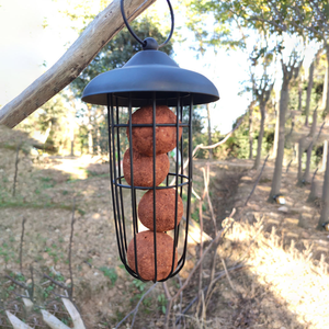 Comedero para Pájaros Silvestres ZY161, de Metal Resistente al Viento, para Colgar en Ventanas y Balcones - Product Image 3