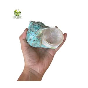 เปลือกหอยธรรมชาติสีเขียวทำมือแบบพกพาสำหรับปูเสฉวนเปลี่ยนเปลือก ตกแต่งตู้ปลา - Product Image 2