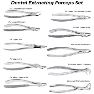 Ensemble de forceps d'extraction dentaire, instruments chirurgicaux argentés, classe I, modèle américain, acier inoxydable de haute qualité - Product Image 2