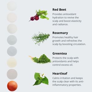 Vegan Beauty Ball Beet de ERIGERON Hair to Toe Care - Product Image 4