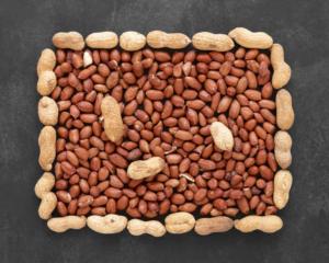 new season retail peanuts premium retail groundnuts fresh retail peanut <strong>kernels</strong> new harvest retail peanuts - Product Image 1