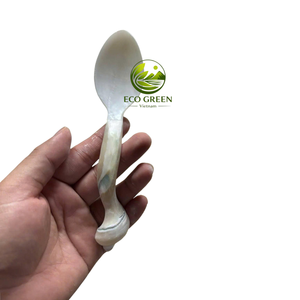 Natural <b>Shell</b> Coffee Spoon Handmade Mother of Pearl Tea Spoon Luxury Kitchen Utensil for Cafe Restaurant Hotel Supplies - Product Image 3