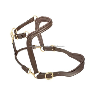 Fancy Design Leather <b>Halter</b> Hot and Trendy Style Leather Horse <b>Halter</b> With Anatomic Headpiece Soft Leather Padded <b>Halter</b> Horse - Product Image 1