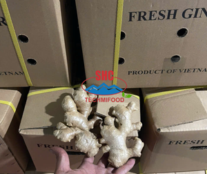 Proveedor Premium de Jengibre Fresco de Vietnam para Empresas Importadoras de Alimentos que Buscan Exportación de Carga de Contenedores Estable - Product Image 6
