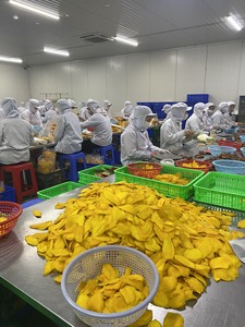 Rodajas de Mango Secas Naturales Suaves al por Mayor para Exportación, Sabor Dulce, Fruta Seca Premium - Product Image 6